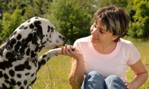 dog breeder myths