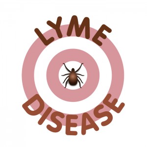 Lyme disease ticks