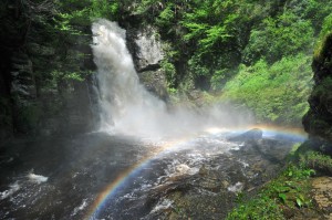 Bushkill Falls waterfall