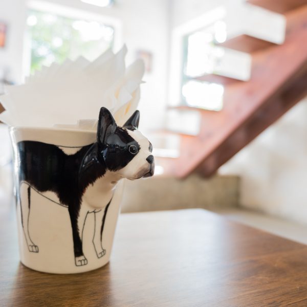 hypoallergenic dog breeds - dog-shaped tissue holder on table